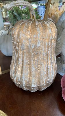Hybrid pumpkin