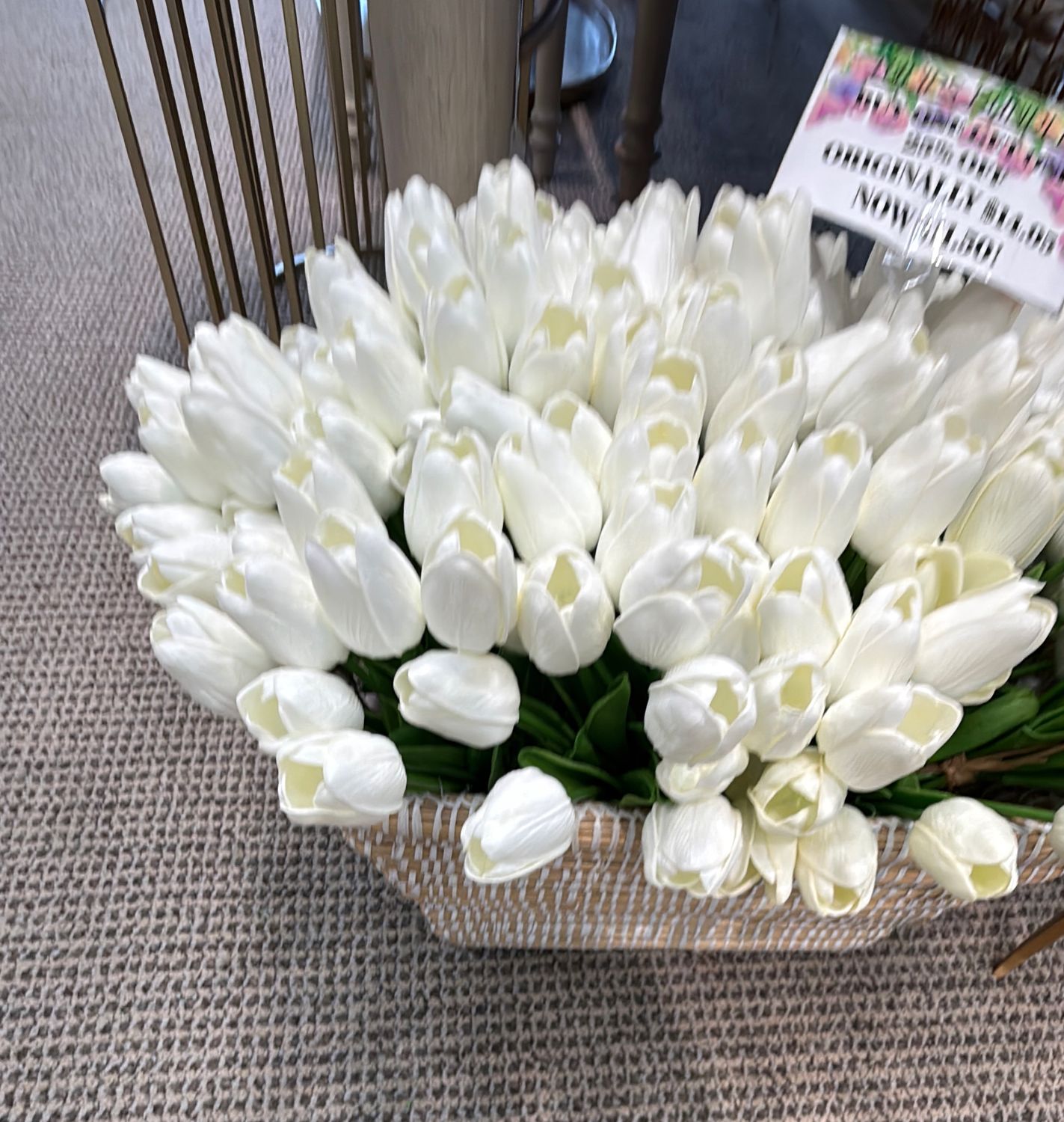 13" EVA DUTCH TULIP BUNDLE X9 WH