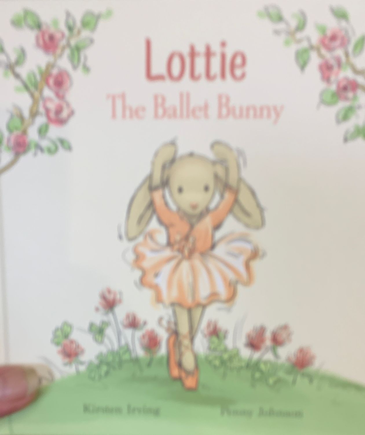 Lottie the ballet bunny