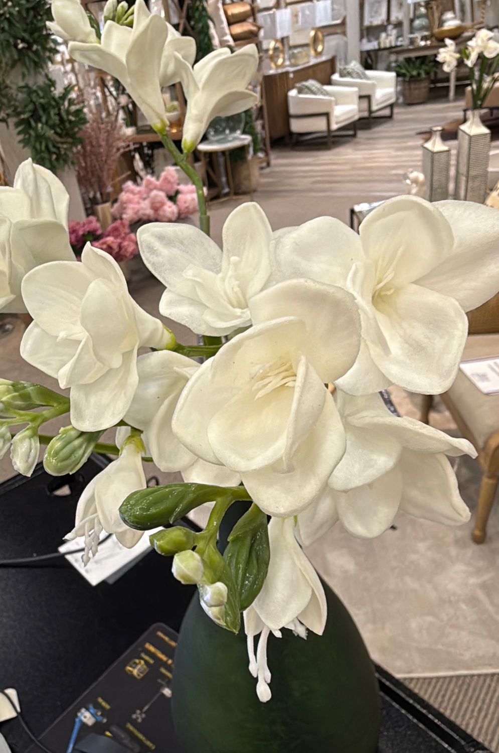 WHITE FREESIA