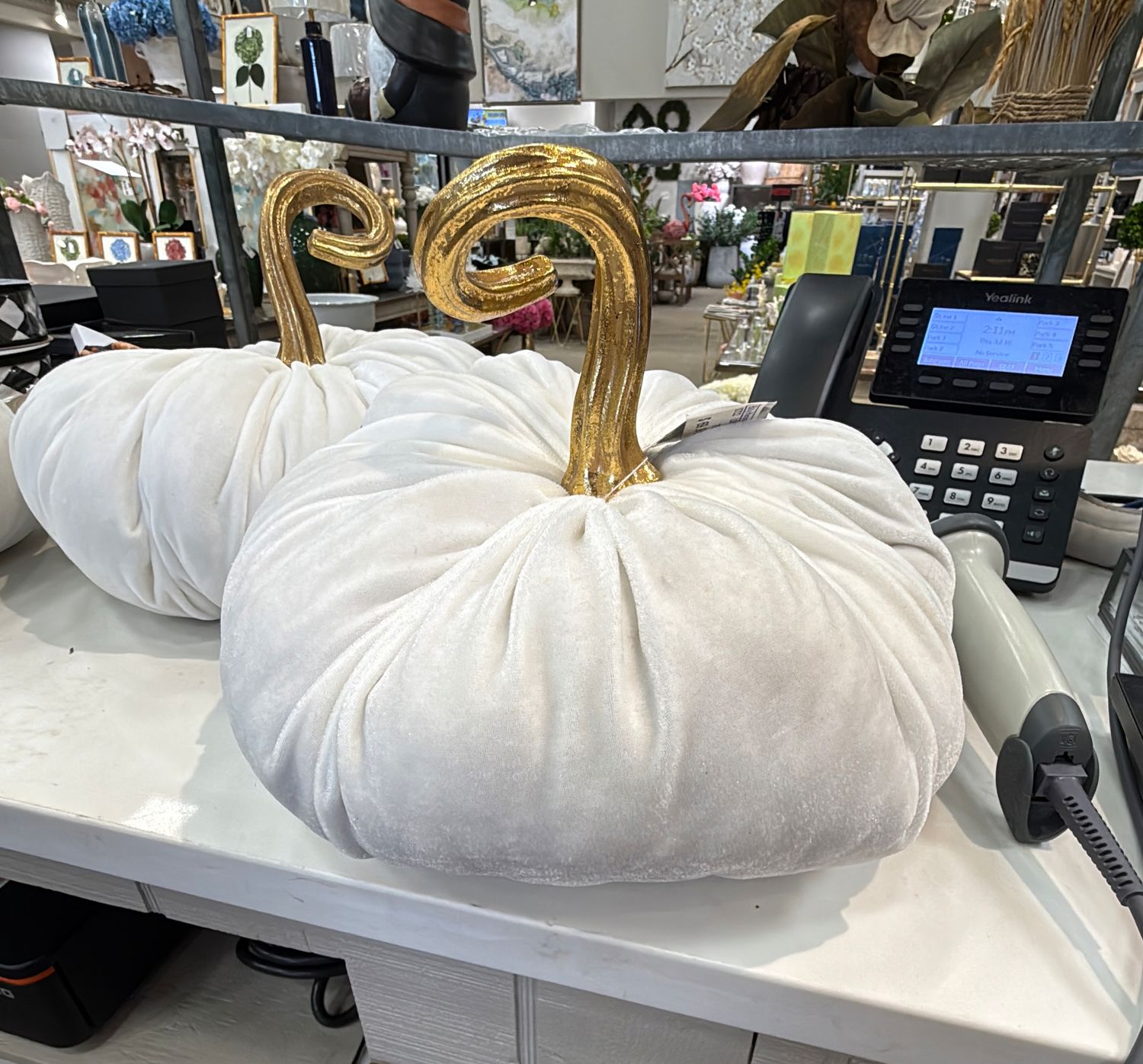 PLUSH VELVET PUMPKIN WHITE- LARGE