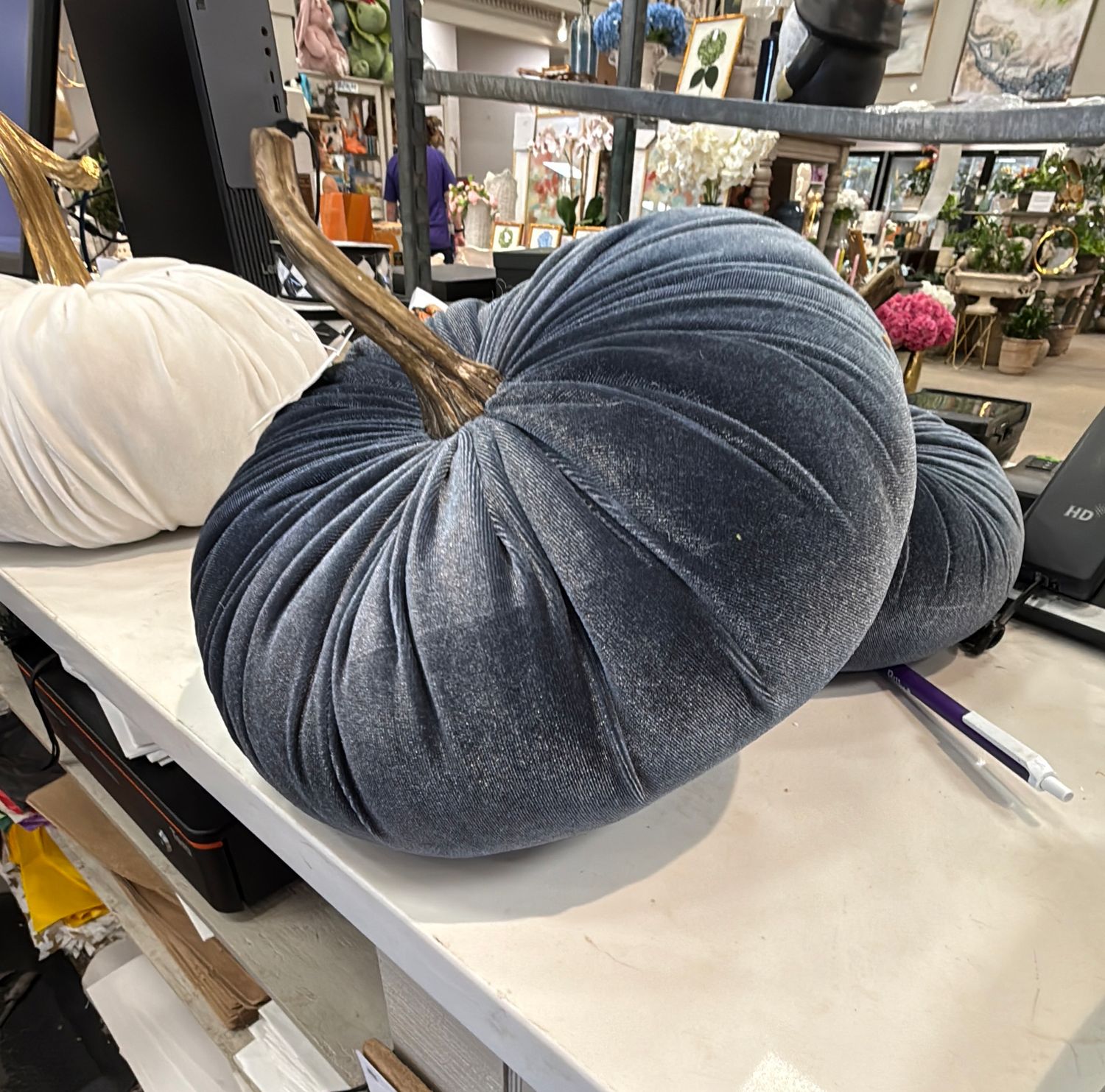 PLUSH VELVET PUMPKIN BLUE - MEDIUM