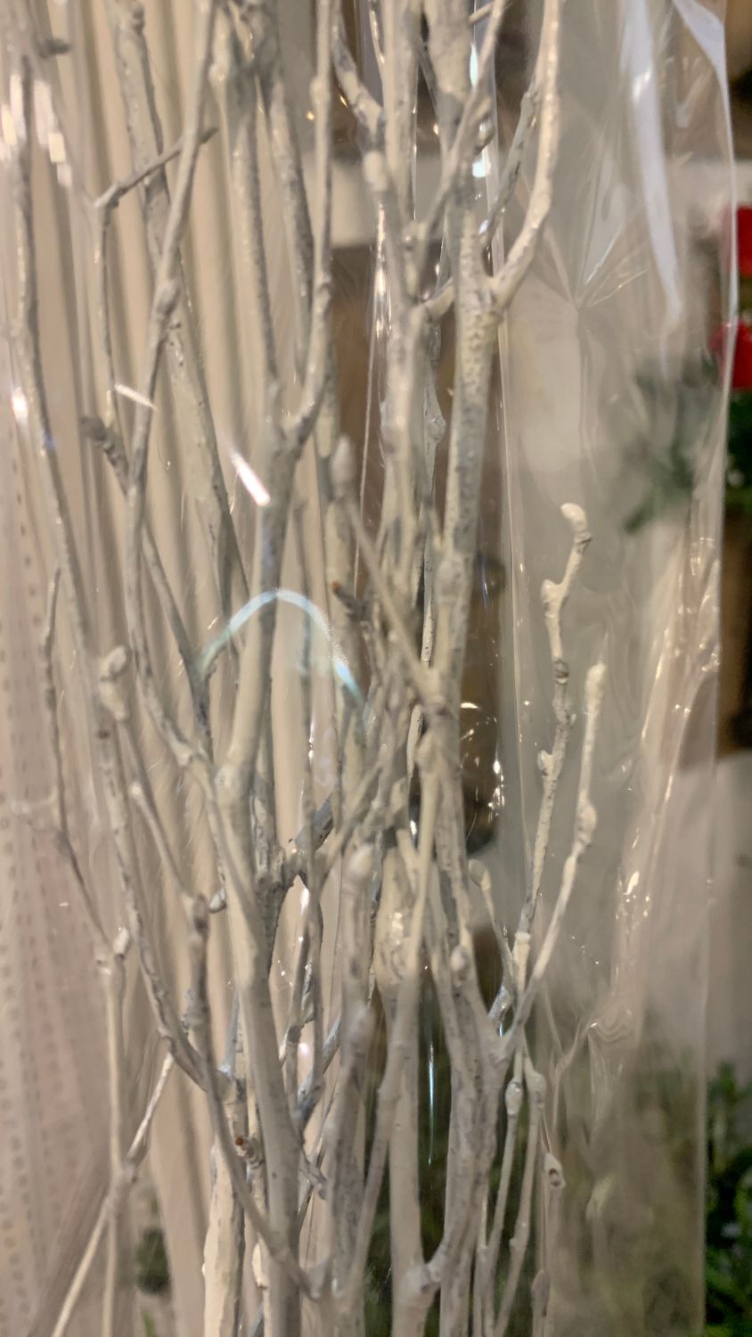 White painted bush