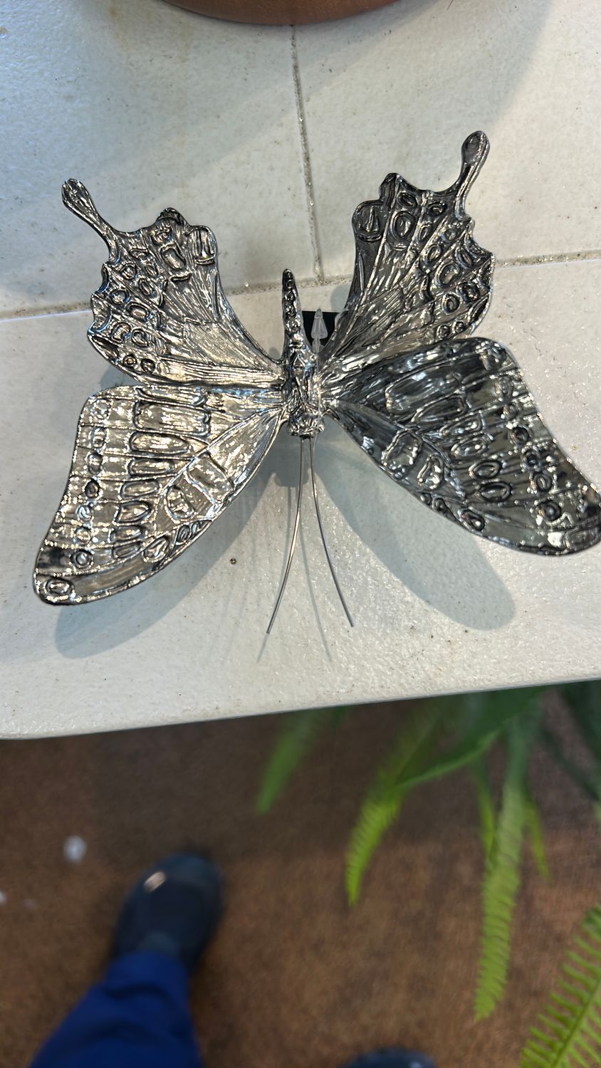 Silver butterfly 
