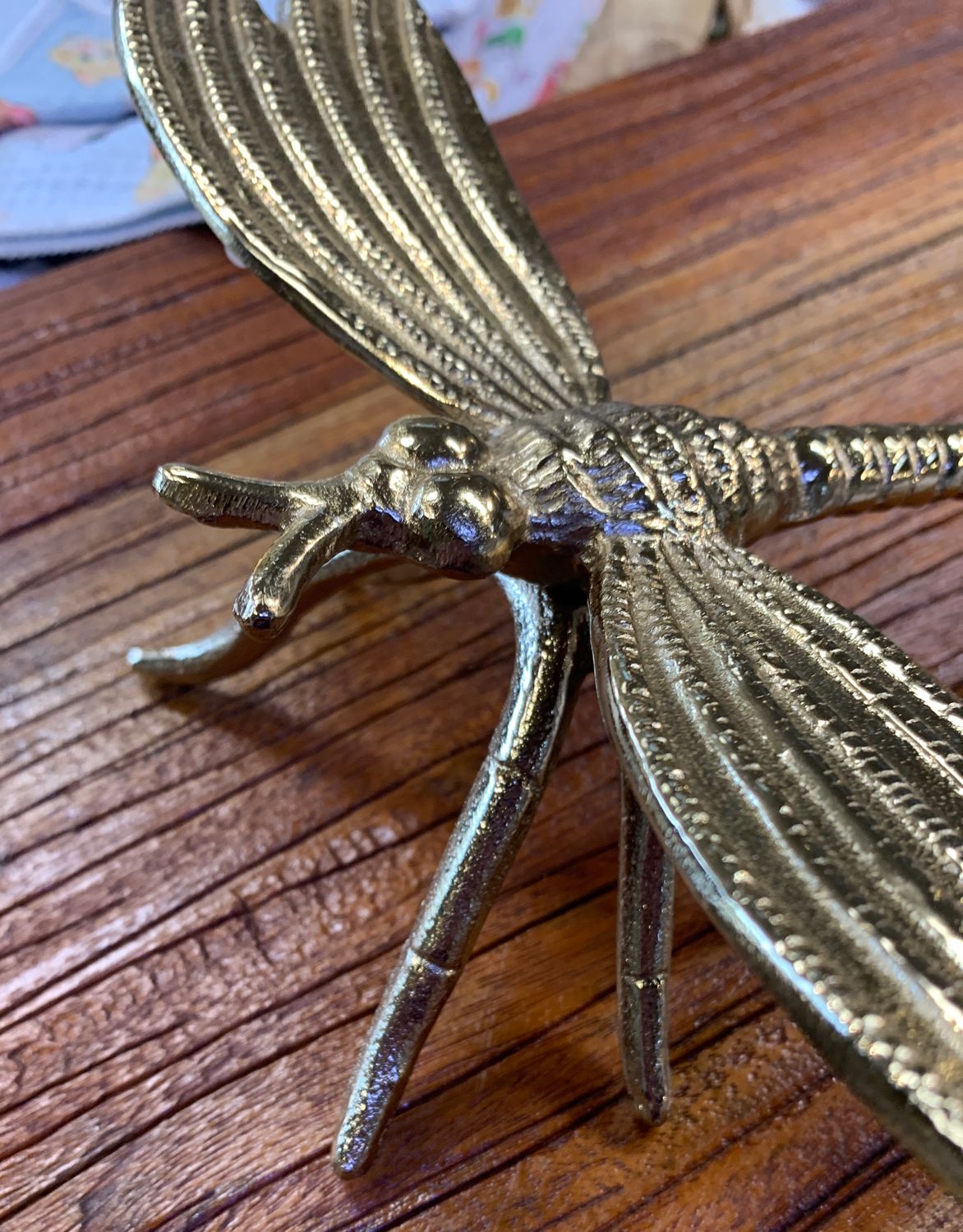 Large gold dragonfly insect