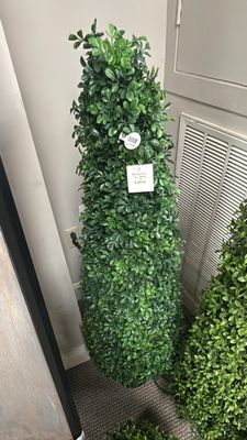 REGENCY BOXWOOD TOPIARY UV PROTECTED 48"