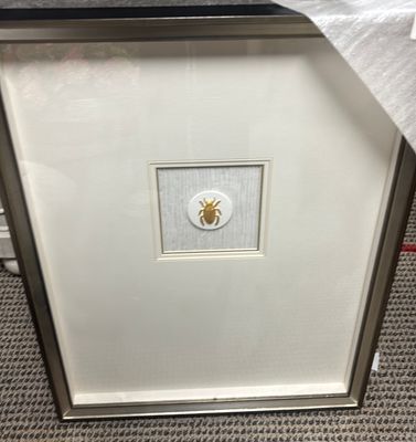 BEETLE WITH GOLD