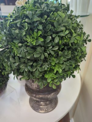 Boxwood Ball 13"