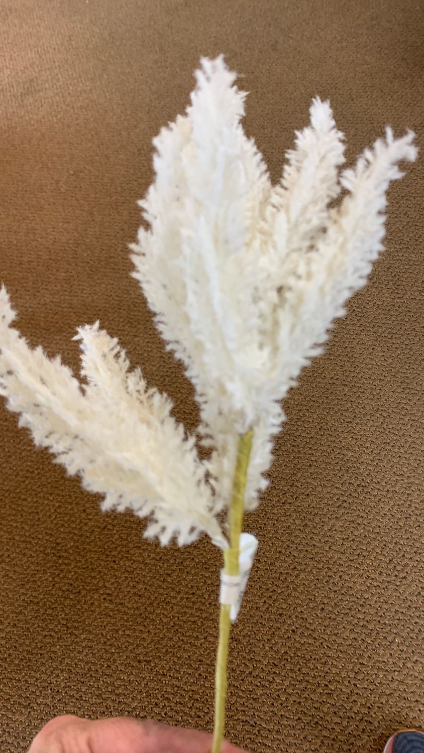 Flocked pampas