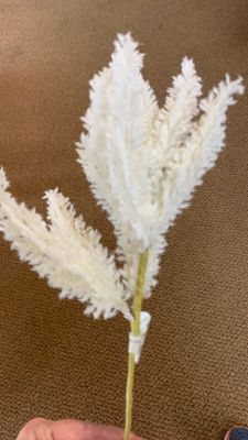 Flocked pampas
