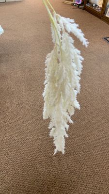 Flocked hanging pampus