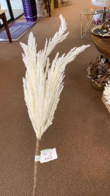Pampas burst spray
