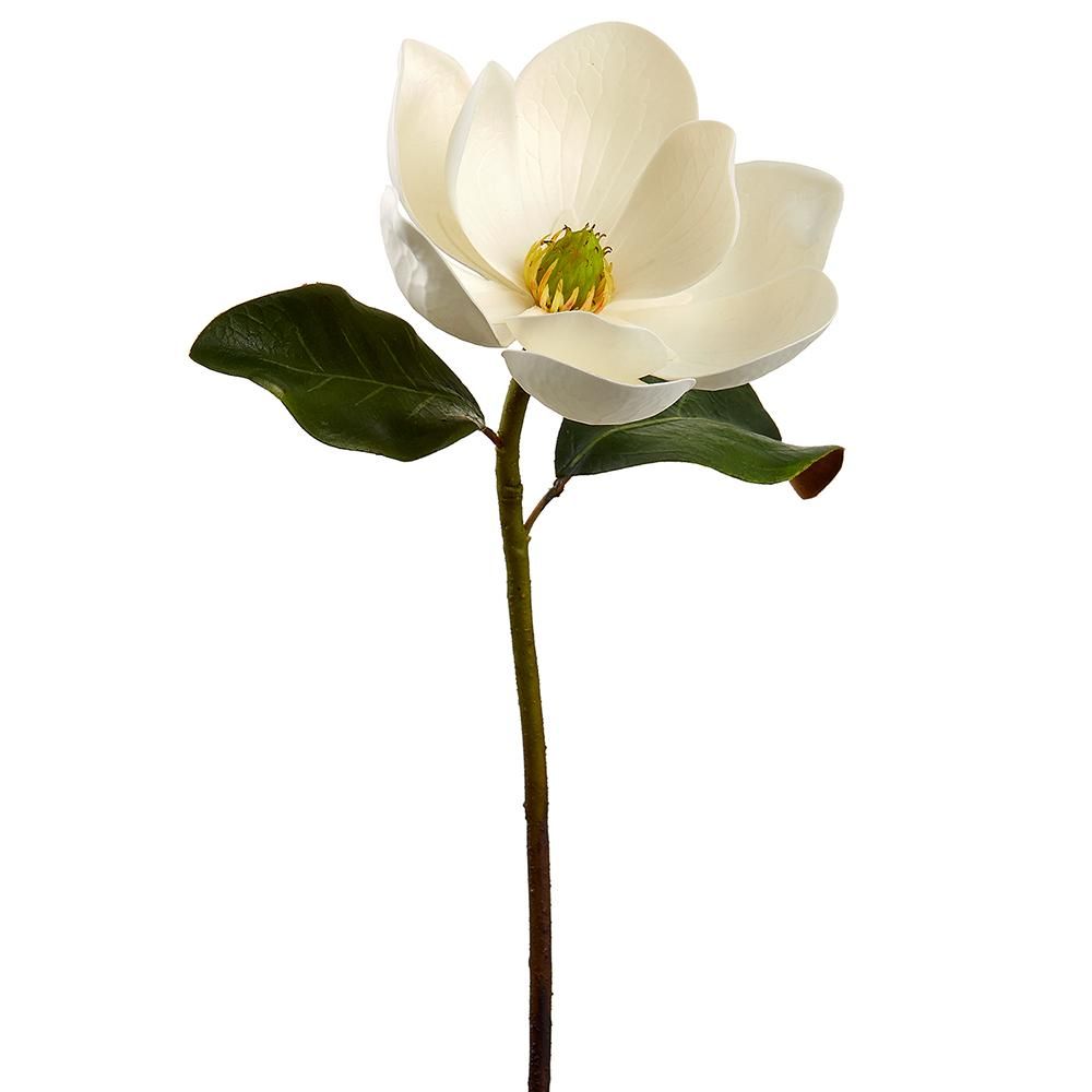 24" MAGNOLIA SPRAY WH