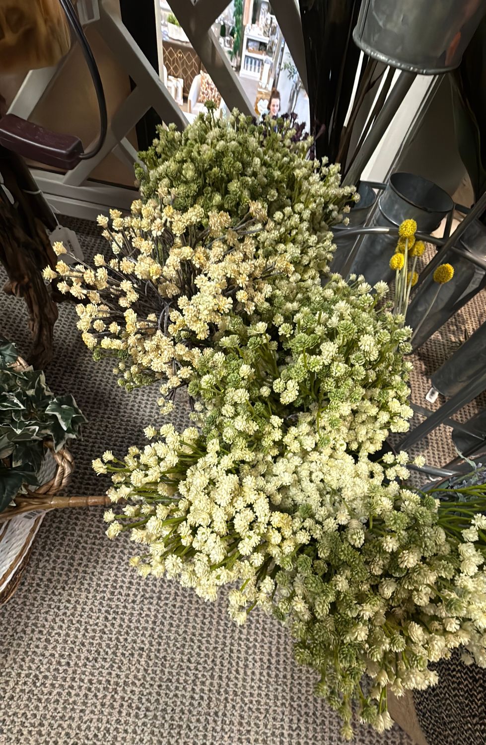 PL.GYPSH BUSH 15"