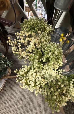 PL.GYPSH BUSH 15"