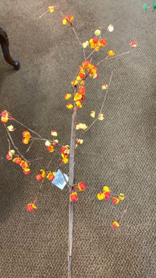 Bittersweet Spray