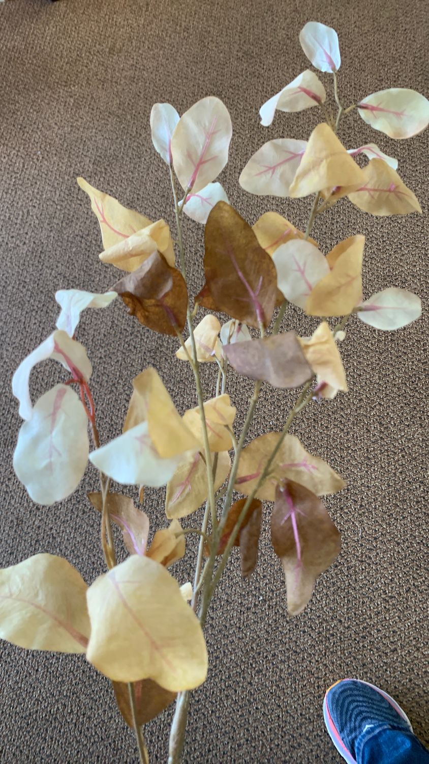 37” wild autumn copper beech spray