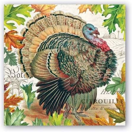 Fall Harvest Turkey Cocktail Napkin