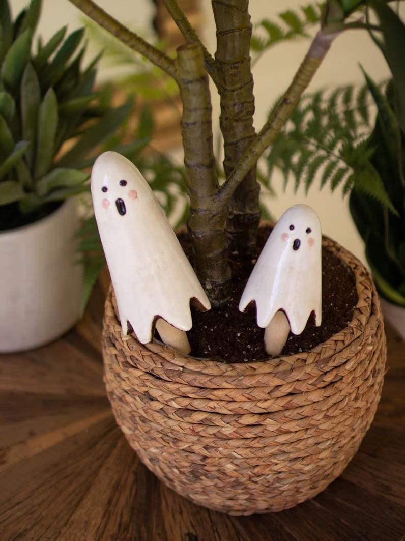 GHOST PLANT PICK