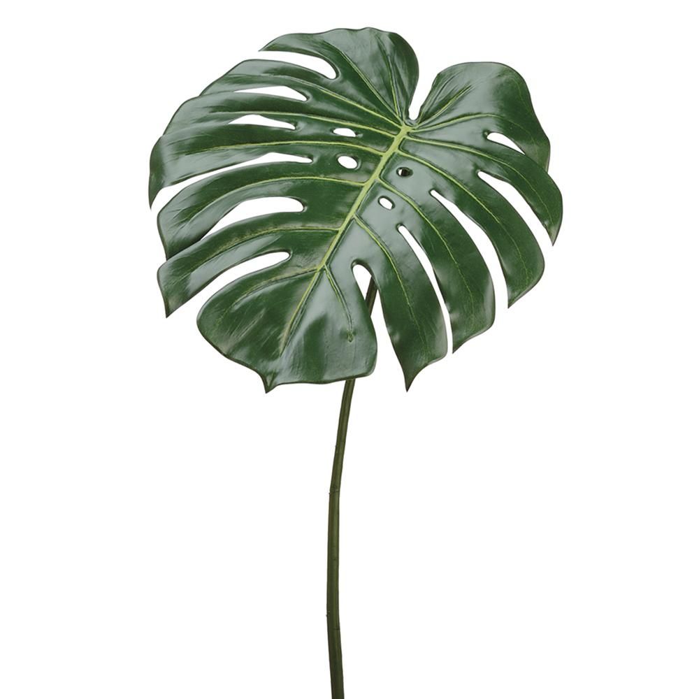23.5" PHILODENDRON  SPRAY