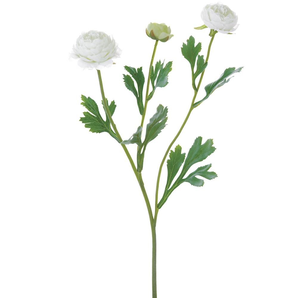 20" RANUNCULUS SPRAY WH