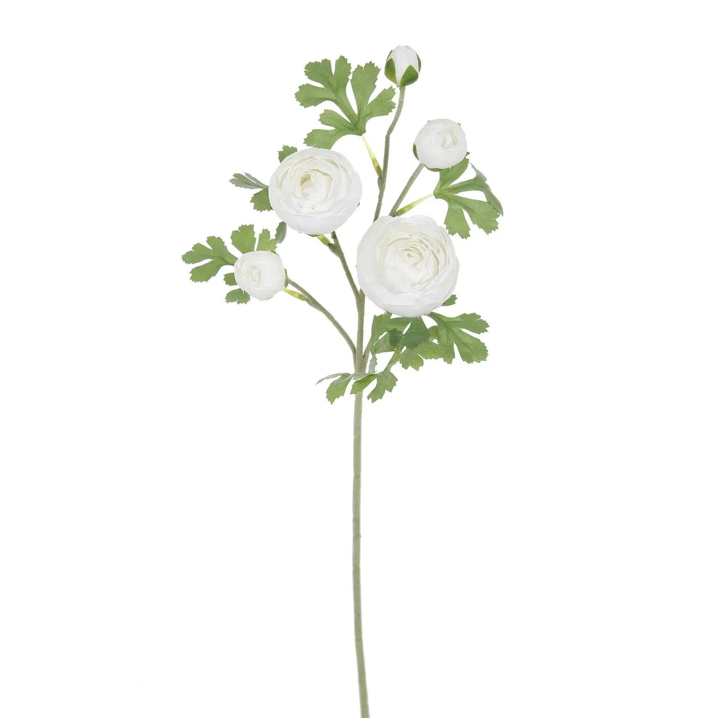 RANUNCULA 24'' WHITE