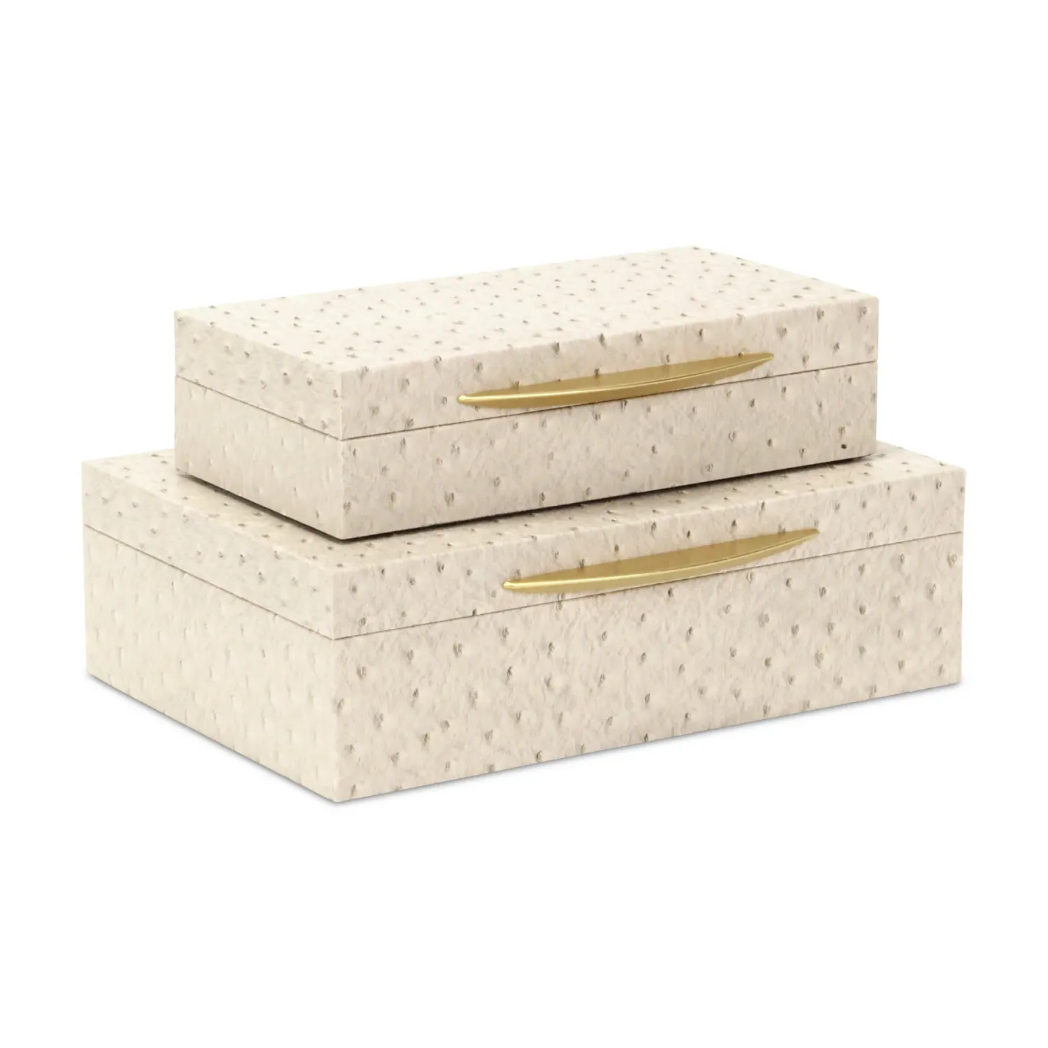 Canorus Ostrich Cream Pattern Box - Large