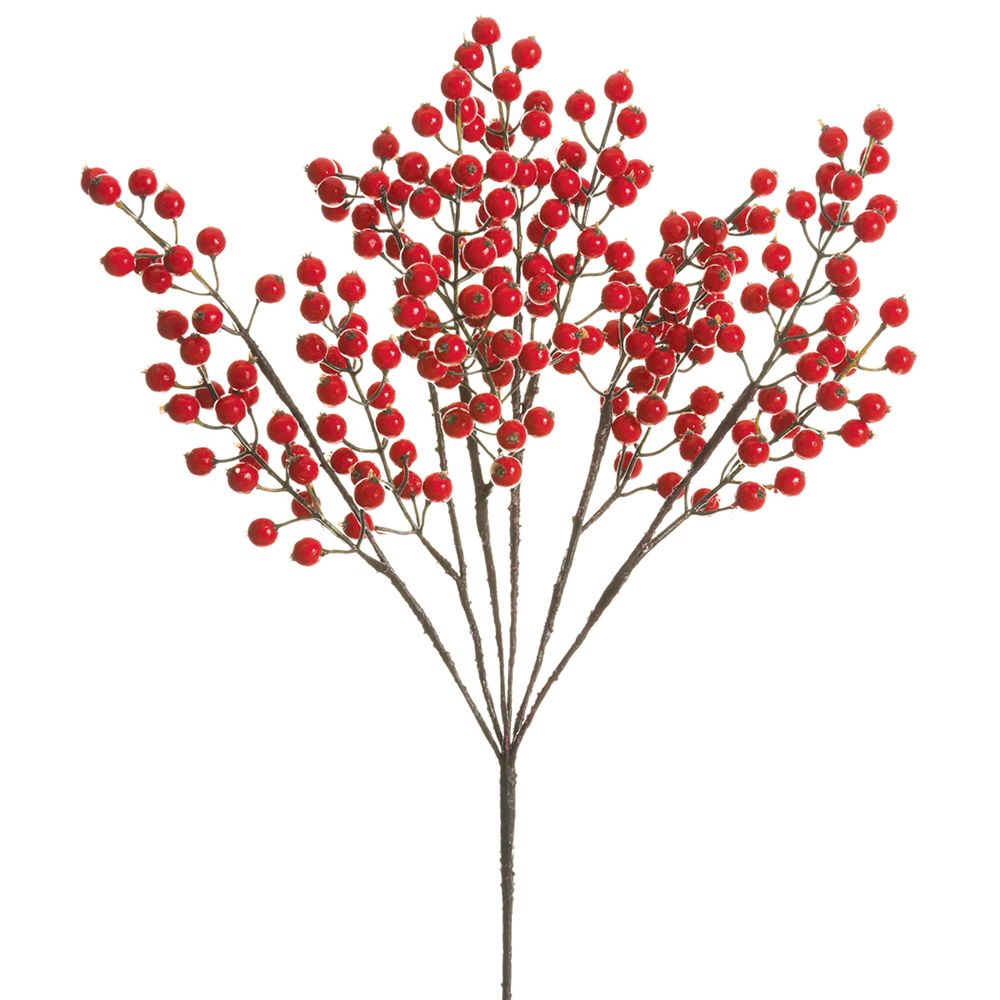 20" Berry Bush Red