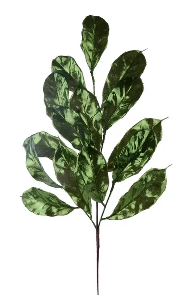 Metallic/Glitter Magnolia Leaf Spray MOSS GREEN 29.5"L GLITTER