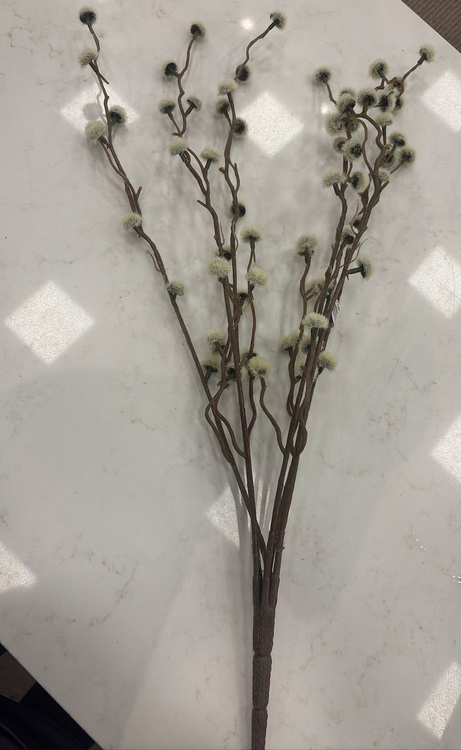 PUSSY WILLOW SPRAY