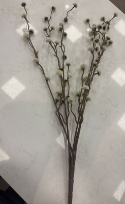 PUSSY WILLOW SPRAY