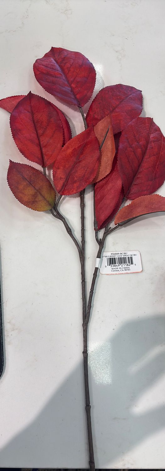 27" MULBERRY LEAF SPRAY