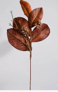 HARVEST MAGNOLIA BUSH