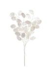 18" SILVER DOLLAR BUNDLE