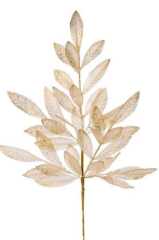 BAY LEAF SPRAY