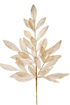 BAY LEAF SPRAY