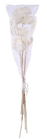 23"L BADAM ON BAMBOO STEM BUNDLE