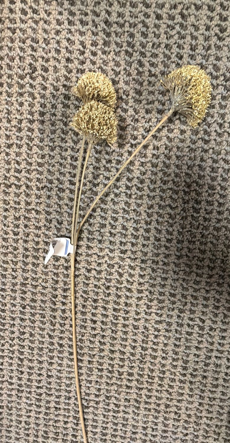 25" ALLIUM SPRAY