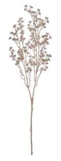 25" METALLIC SEDUM SPRAY CHAMPAGNE