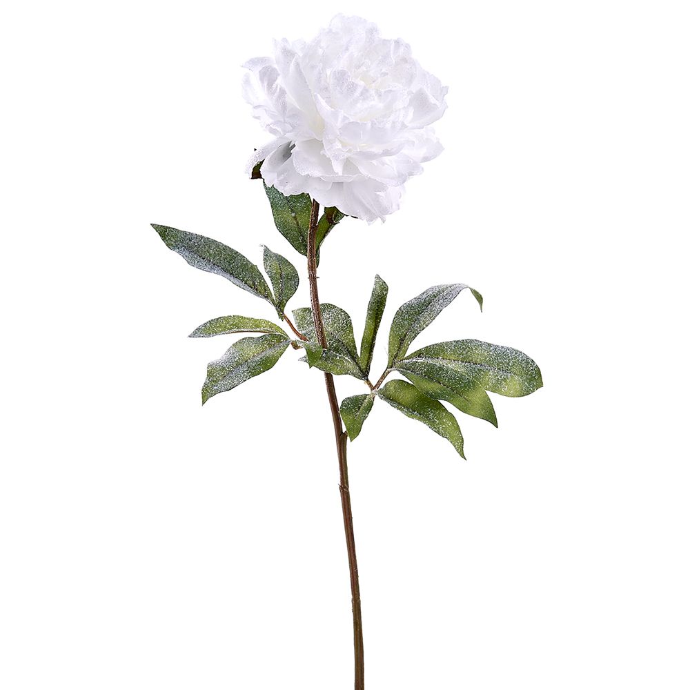 28"SNOWED PEONY SPRAY WH