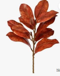 AUTUMNAL MAGNOLIA SPRAY