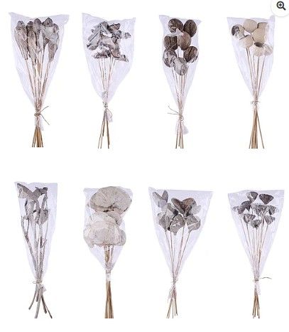 DRIED STEM BUNDLE