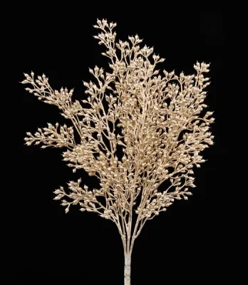 Seed Bush CHAMPAGNE 17.5"L
