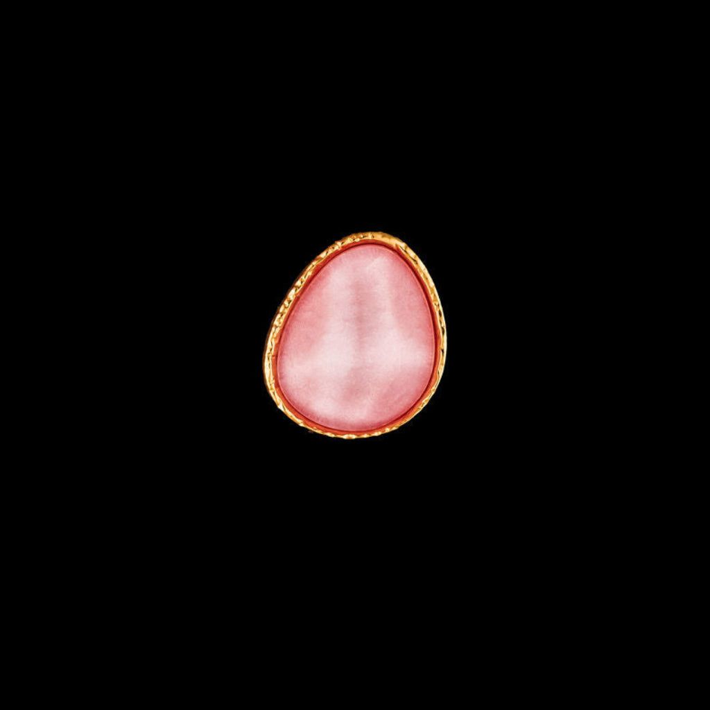STEWARD &amp; JAMES - VICTORIA RING - PINK