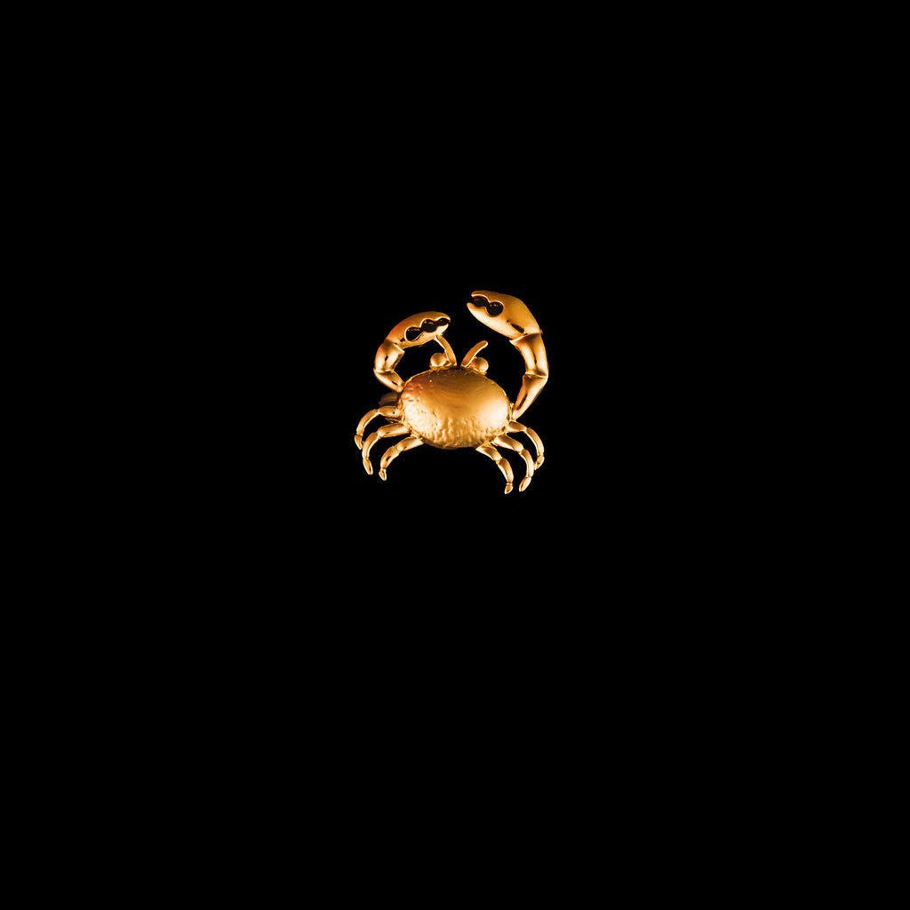 STEWARD &amp; JAMES - CRAB RING