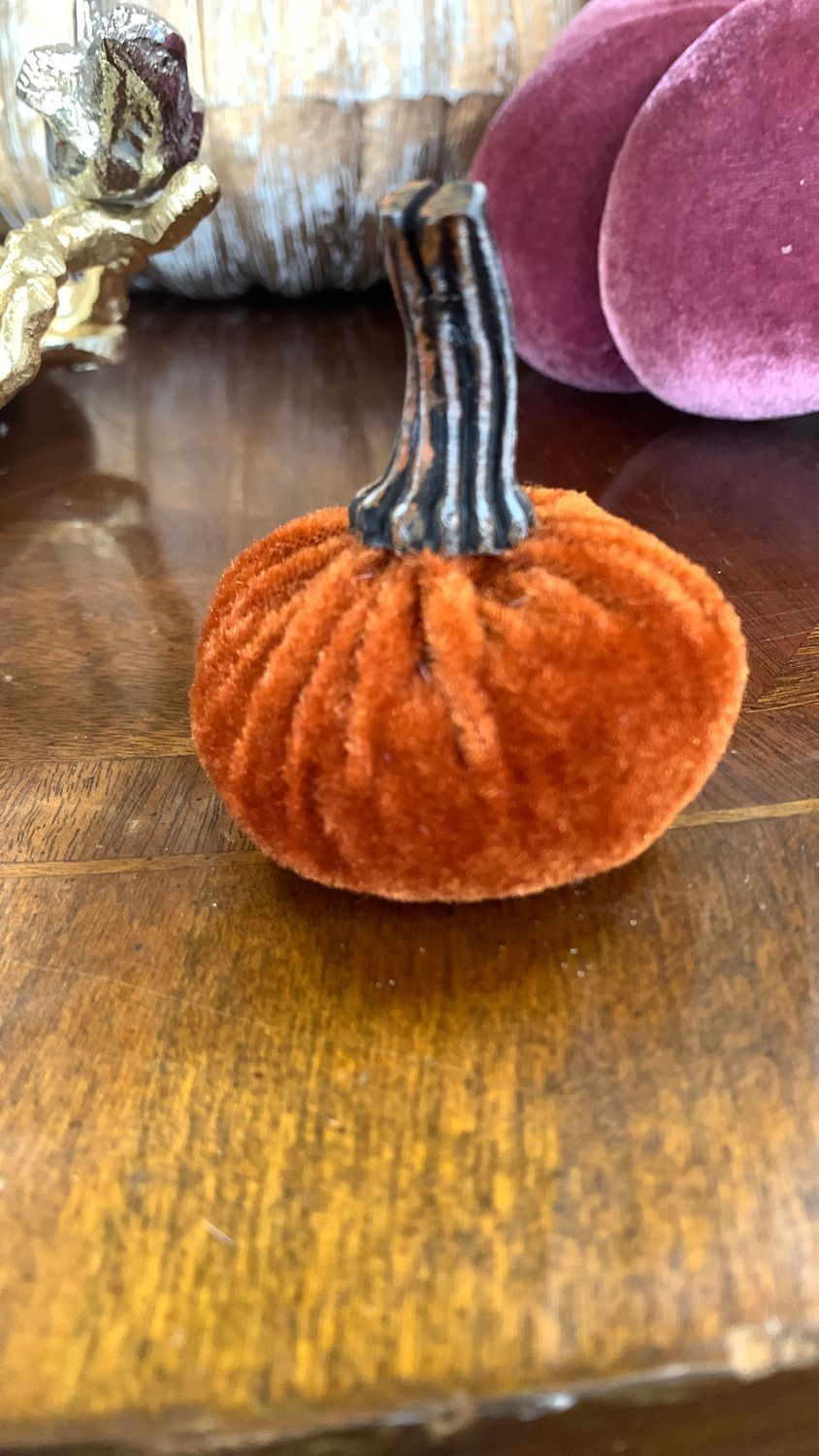 Orange velvet place card holder