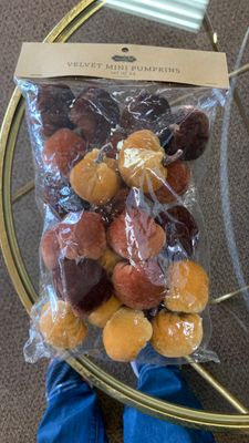 Harvest velvet mini pumpkin 24 count
