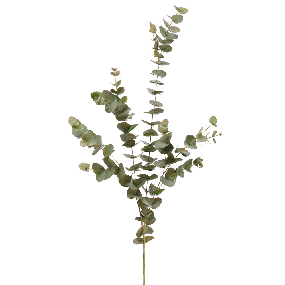47"EUCALYPTUS SPRAY X7 GR/GY