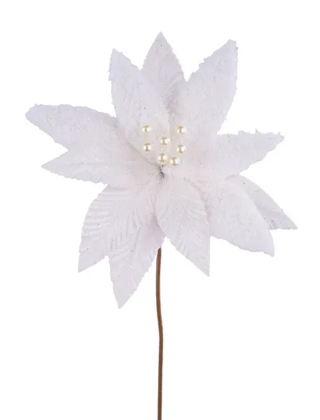 Poinsettia Stem IVORY 19.75"L X 12.25"DIA