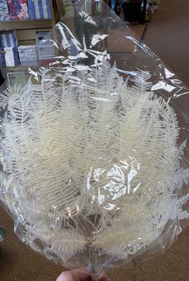 Fall pick- Fern leaf